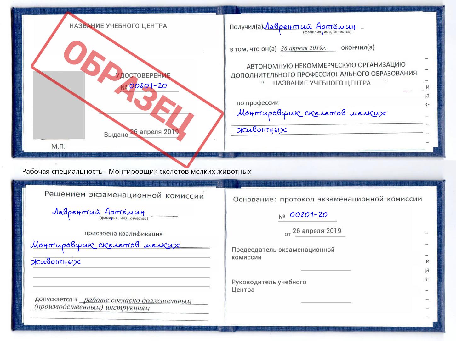 Монтировщик скелетов мелких животных Озерск